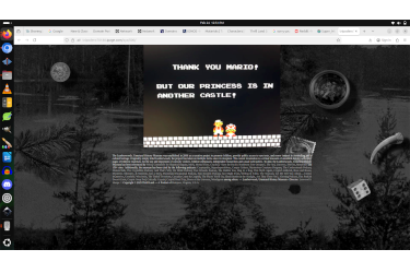 Princess in Another Castle